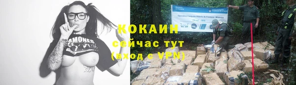 гашиш Абаза