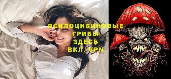 2c-b Алзамай