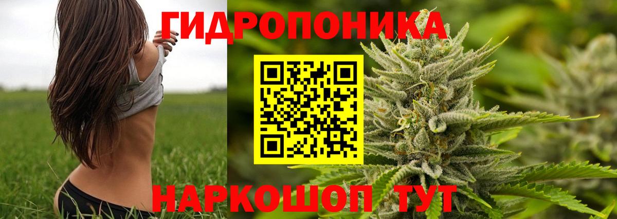 Бошки марихуана White Widow Железноводск